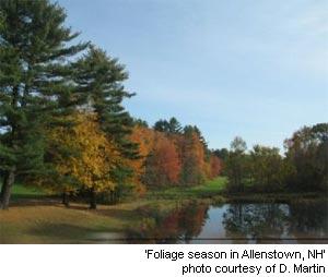 foliage season in Allenstown, New Hampshire