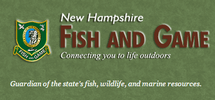 NH Fishing License | NH Living