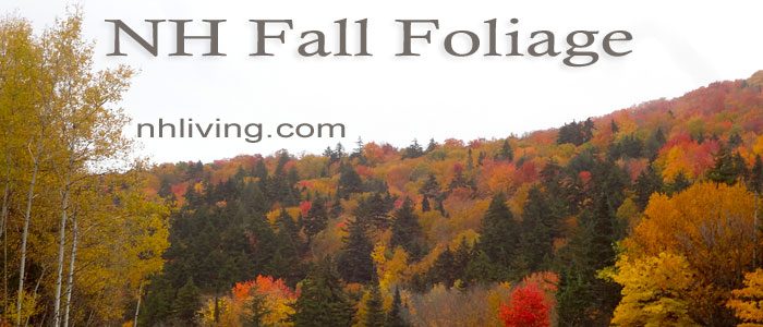 NH fall foliage tour