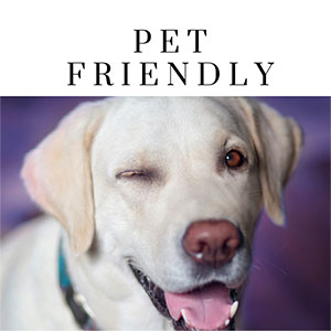 Pet Friendly NH Lodging