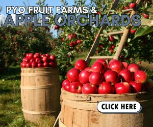NH Apple Orchards PYO Apples Fruit Farms in New Hampshire. Where can Pick Apples in NH?