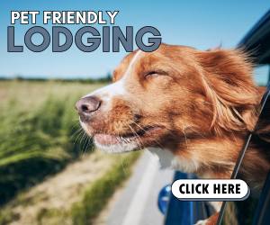 NH PetFriedly Hotels Inns Resorts Campgrounds Vacation Rentals that accept Pets